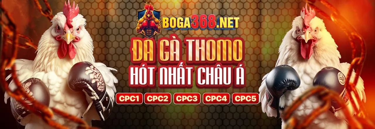 Lợi ích khi sử dụng 89bet4 code